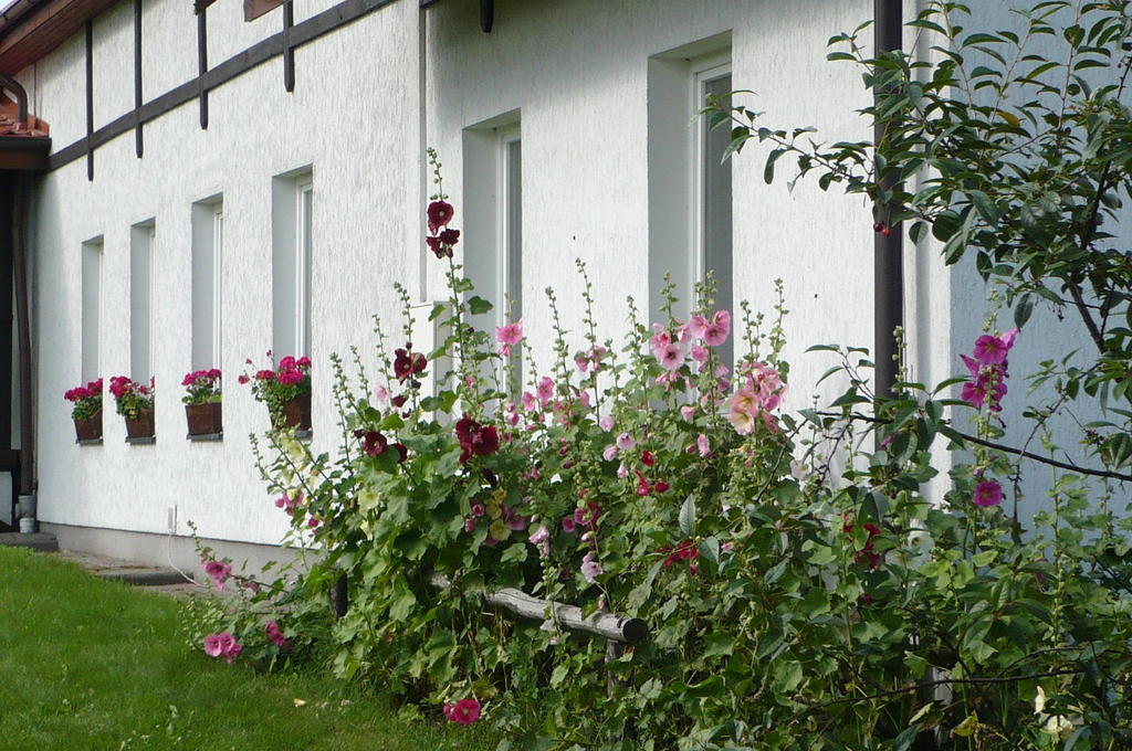 Dylewianka Villa Wysoka Wieś Exterior foto