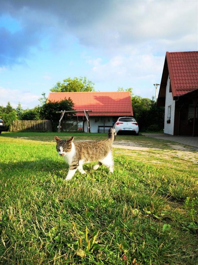Dylewianka Villa Wysoka Wieś Exterior foto